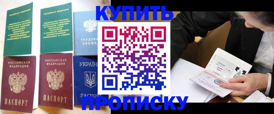 прописка для школы в Шатуре